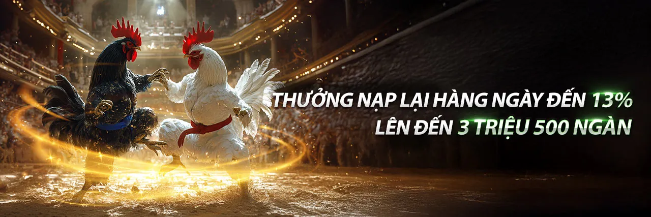 Hình ảnh tiêu đề chính của blog 555win55 chính thức