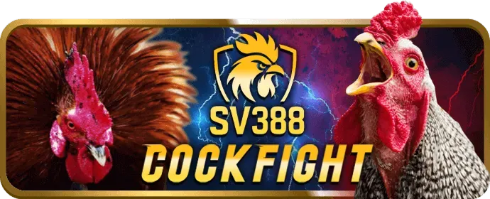 Biểu tượng bảo mật 555win55 chính thức